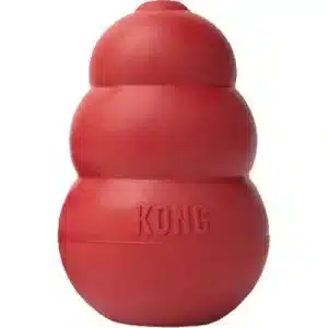 Kong classic