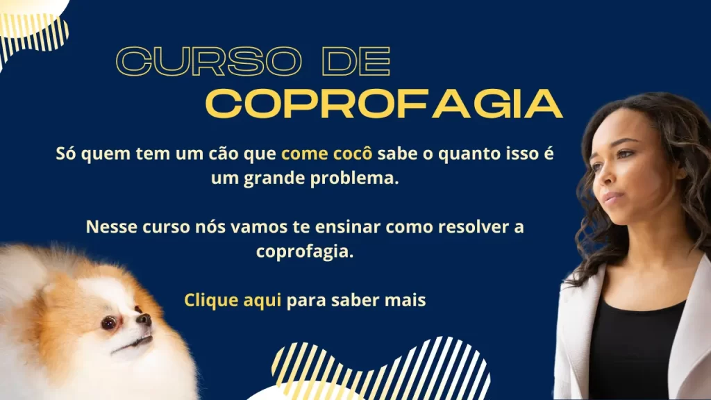 Coprofagia em cachorro