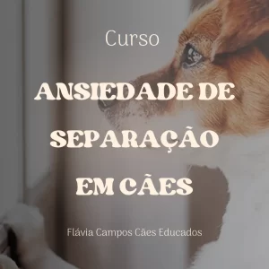 Sindrome da Ansiedade de Separacao em Caes